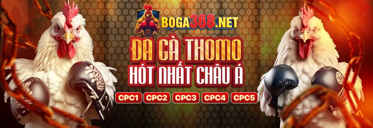 Hướng dẫn người mới bắt đầu tại nền tảng 98bet win